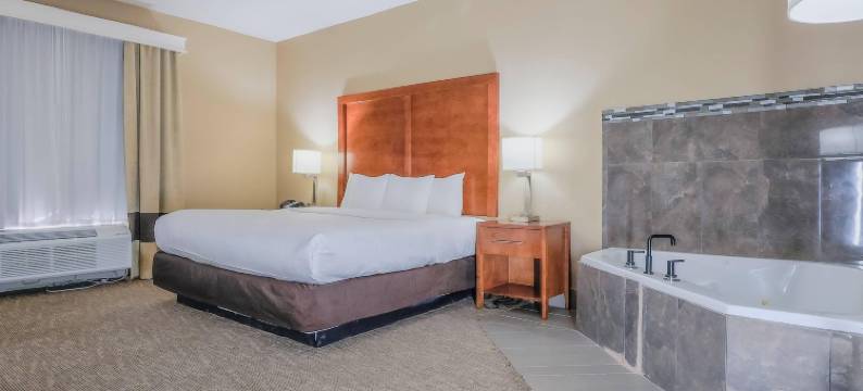 舒适酒店渥太华 堪萨斯(Comfort Inn Ottawa)图片