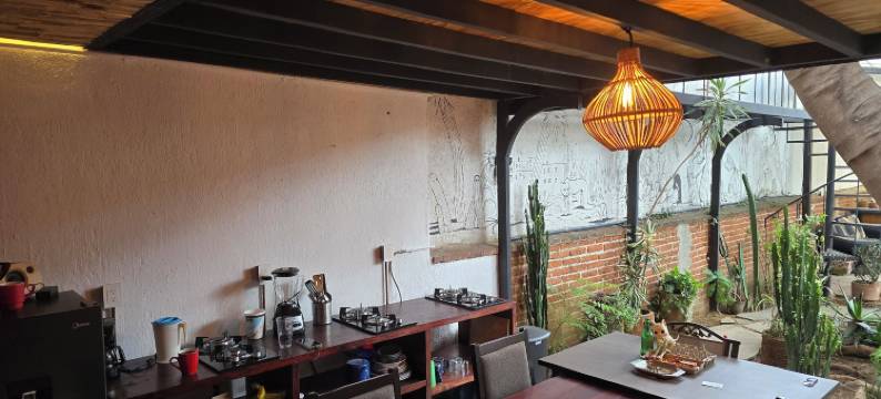索奇米尔科的树之家旅馆(Casa del Árbol Hostel Xochimilco)图片