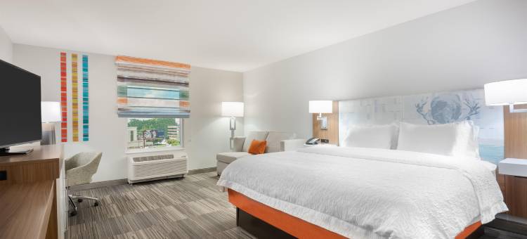 亚特兰大巴克海特广场希尔顿欢朋套房酒店(Hampton Inn & Suites Atlanta Buckhead Place)图片