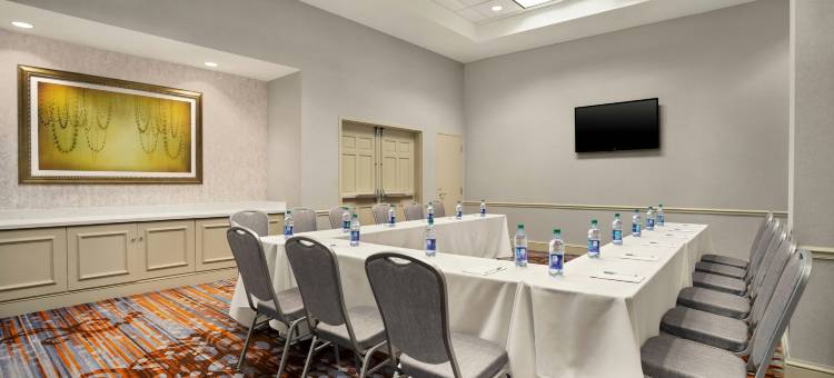希尔顿花园酒店新奥尔良会议中心(Hilton Garden Inn New Orleans Convention Center)图片