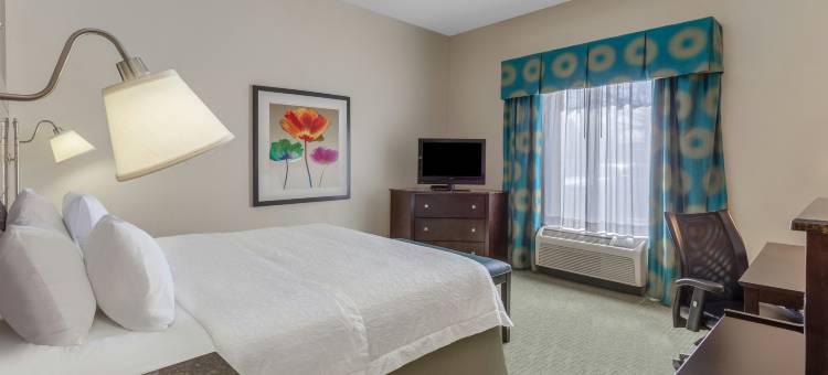 南里士满欢朋酒店(Hampton Inn Richmond-South)图片