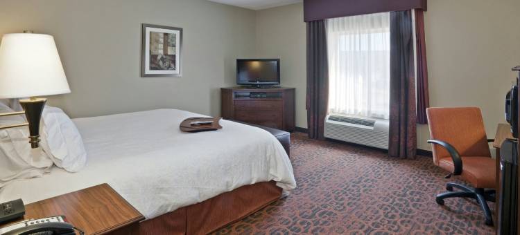 马塔莫拉斯欢朋酒店(Hampton Inn Matamoras/Milford)图片