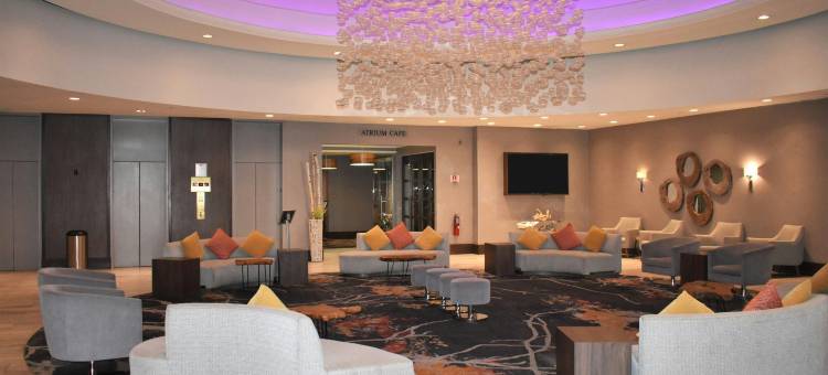 奥克布鲁克芝加哥希尔顿逸林酒店(DoubleTree by Hilton Chicago - Oak Brook)图片