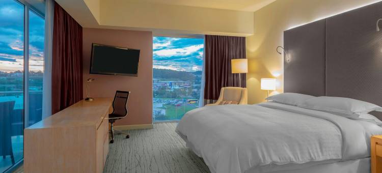 哥斯达黎加圣何塞喜来登酒店(Sheraton San Jose Hotel, Costa Rica)图片