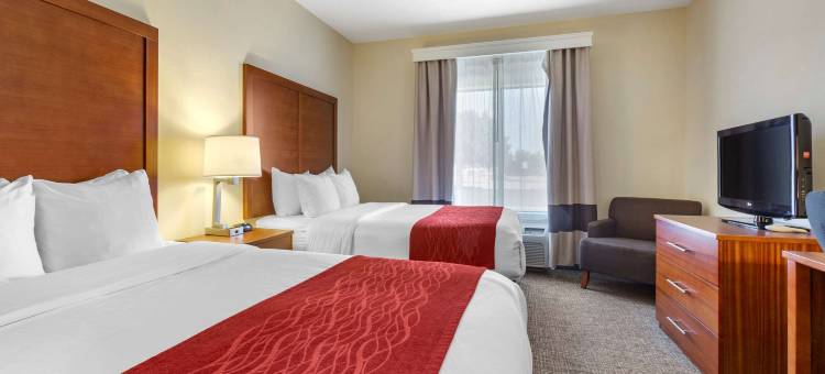 索科罗舒适套房酒店(Comfort Inn & Suites)图片