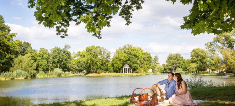 卡洛耶卡斯蒂里酒店及餐厅(Károlyi Kastély Hotel & Restaurant)图片