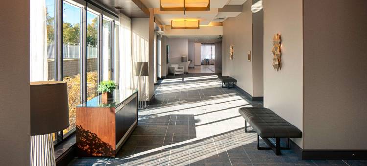 明尼阿波利斯布卢明顿希尔顿酒店(Hilton Minneapolis/Bloomington)图片