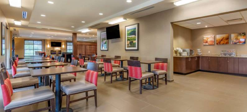 舒适酒店-81号州际公路和宾州收费公路(Comfort Inn PA Turnpike - I-81)图片