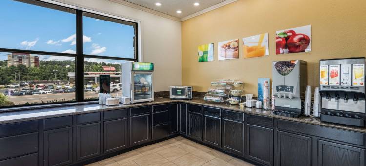 温泉城 - 汉密尔顿湖凯艺套房酒店(Quality Inn & Suites Hot Springs - Lake Hamilton)图片