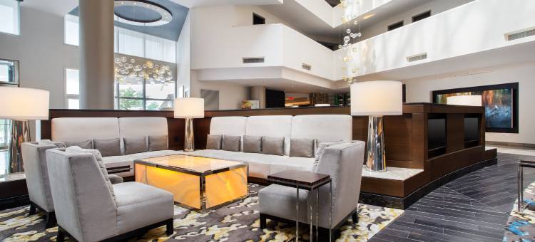 麦克莱恩泰森斯科纳希尔顿酒店(Hilton McLean Tysons Corner)图片