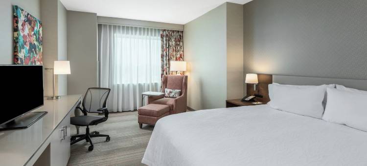 迈阿密海豚购物中心希尔顿花园酒店(Hilton Garden Inn Miami Dolphin Mall)图片