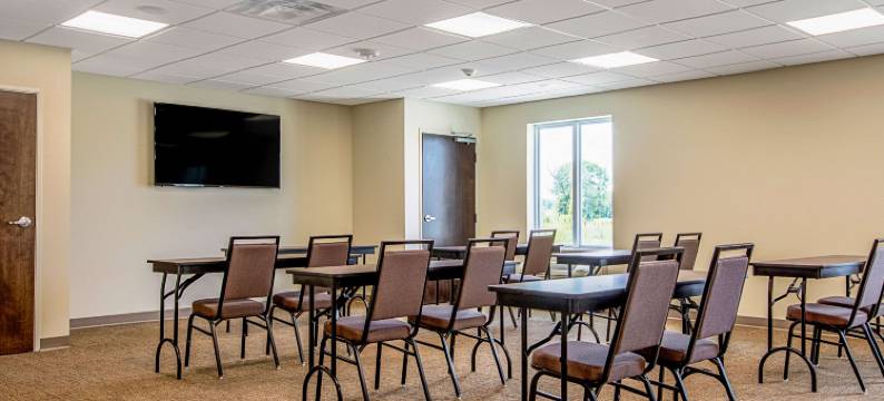 盖斯马-冈萨雷斯美茵斯坦套房酒店(MainStay Suites Geismar - Gonzales)图片