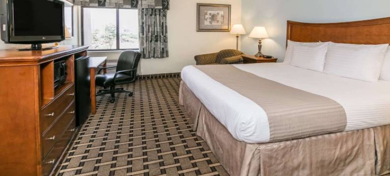 阿林顿六旗大道温德姆呗盟套房酒店(Baymont by Wyndham Arlington)图片