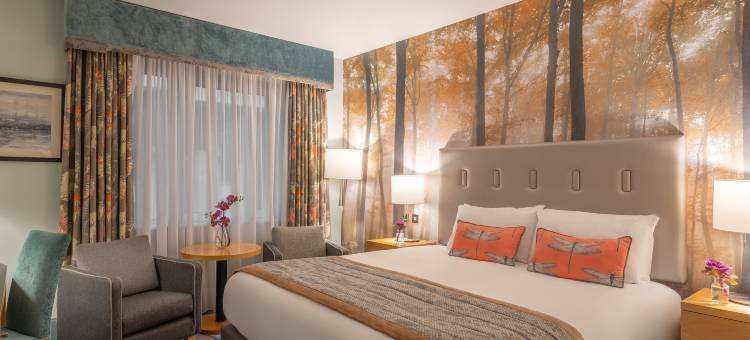 Crowne Plaza 都柏林 - 诺斯伍德(Crowne Plaza Dublin Airport)图片