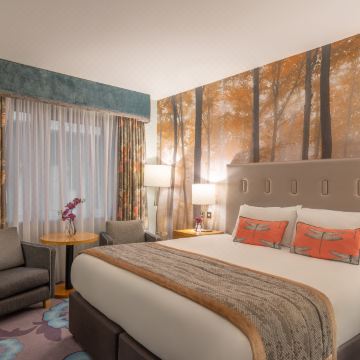 Crowne Plaza 都柏林 - 诺斯伍德(Crowne Plaza DUBLIN AIRPORT by IHG)图片