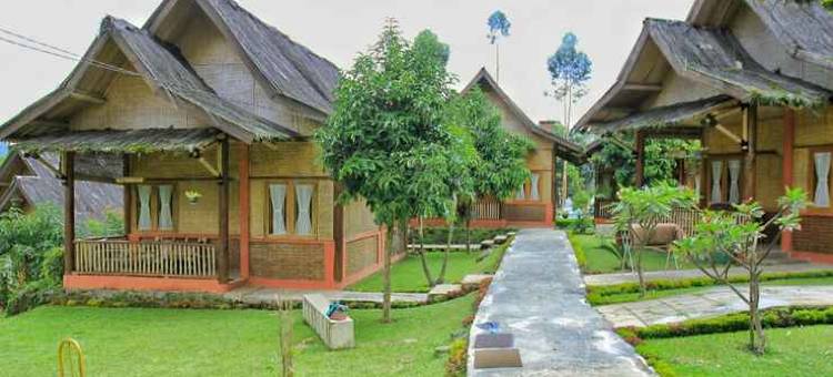 桑格加维芝威得木屋(Saung Gawir Ciwidey)图片