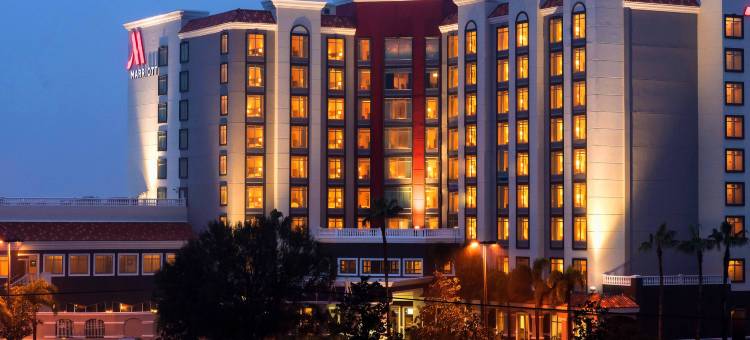 圣彼得堡克利尔沃特万豪酒店(St. Petersburg Marriott Clearwater)图片