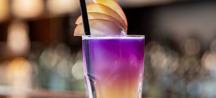 汉诺威佩里坎喜来登酒店(Sheraton Hannover Pelikan Hotel)图片