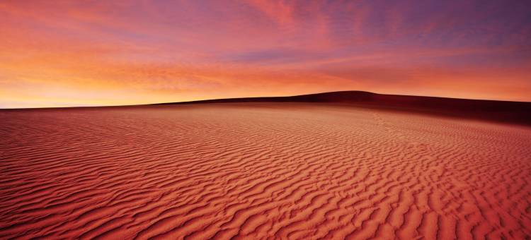 InterContinental Hotels 利雅得(InterContinental Hotels Riyadh)图片