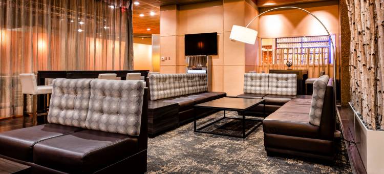 波士顿纳蒂克威尔威酒店 - 希尔顿启缤精选酒店(The Verve Boston Natick, Tapestry Collection by Hilton)图片