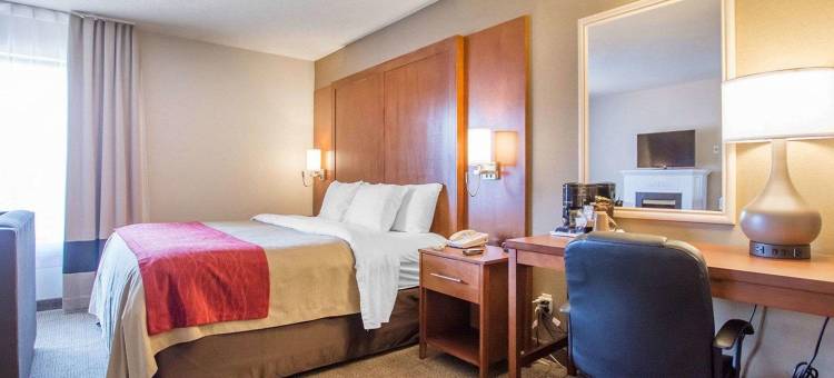 巴瑟斯特舒适酒店(Comfort Inn)图片