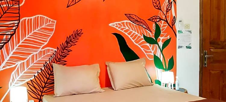 伊真火山小睡旅馆(Snooze Hostel Ijen)图片