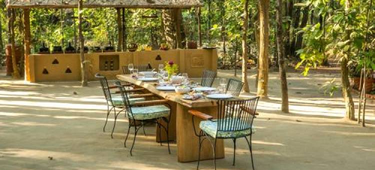 Kanha Jungle Lodge图片