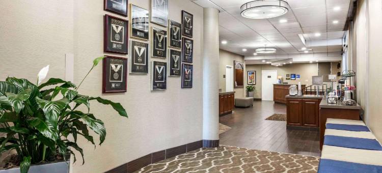 孟菲斯市中心舒适酒店(Comfort Inn Memphis Downtown)图片