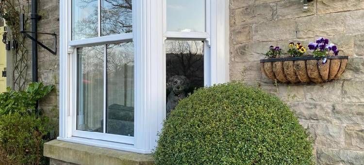 希尔民宿(The Hill B&B)图片