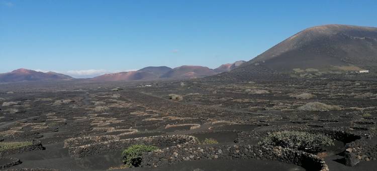 洛斯希比斯科斯埃雷萨公寓酒店 - 仅供成人入住(Ereza Apartamentos Los Hibiscos - Adults Only)图片