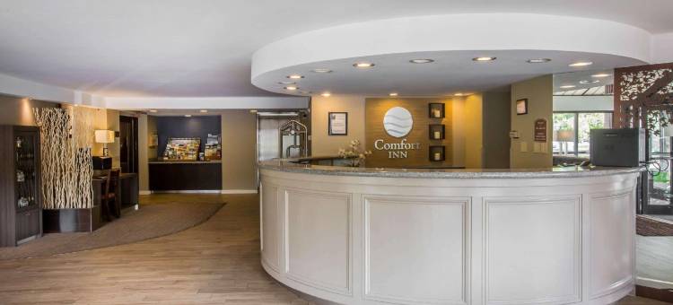 舒适酒店(Comfort Inn)图片