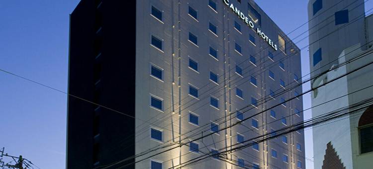 半田光芒酒店(CANDEO HOTELS)(Candeo Hotels Handa)图片