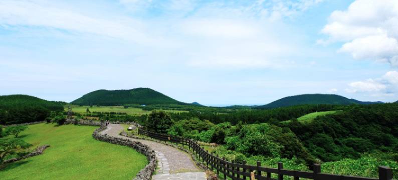 济州岛潘帕斯酒店(Jeju Pampas Pension)图片