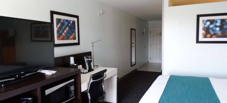 贝斯特韦斯特优质基西米 - 布埃纳文图拉湖南方优质套房酒店(Best Western Plus Kissimmee-Lake Buena Vista South Inn  Suites)图片
