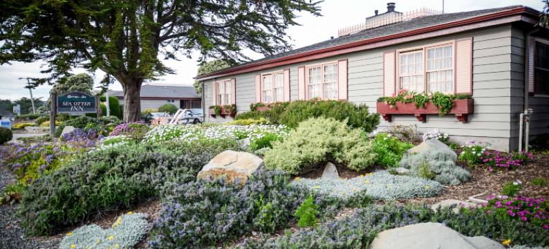 海獭酒店(Sea Otter Inn)图片