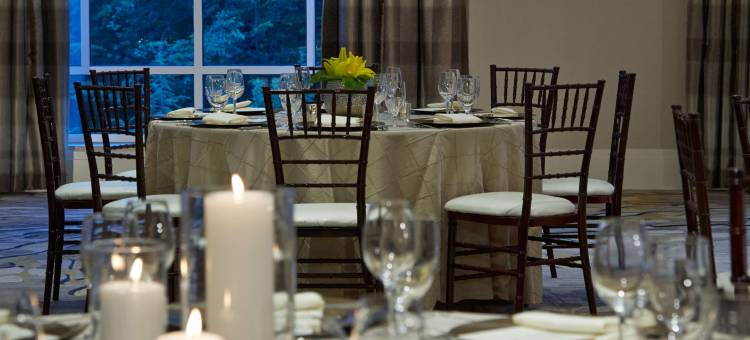 凯悦酒店亚特兰大周边克里斯蒂娜别墅(Hyatt Regency Atlanta Perimeter Villa Christina)图片