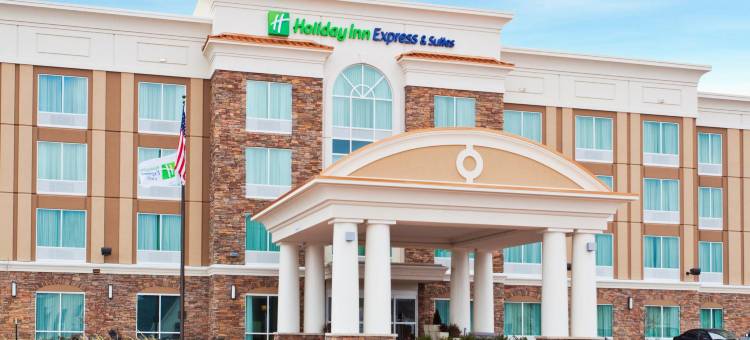 智选假日套房酒店亨茨维尔北(Holiday Inn Express & Suites Huntsville West - Research PK)图片