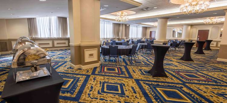 圣路易斯拱门德鲁里广场酒店(Drury Plaza St. Louis at the Arch)图片
