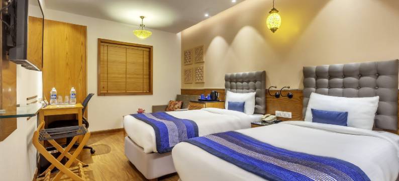 新德里哈里纳加尔金色郁金香酒店(Golden Tulip New Delhi - Hari Nagar)图片