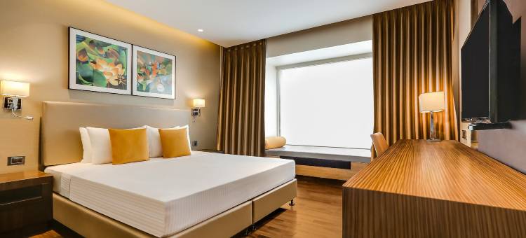 维曼纳加尔柠檬树酒店(Lemon Tree Hotel Viman Nagar Pune)图片
