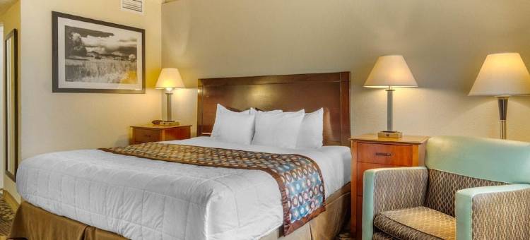 丹佛市中心凯艺酒店(Inn at the Highland Denver Downtown)图片