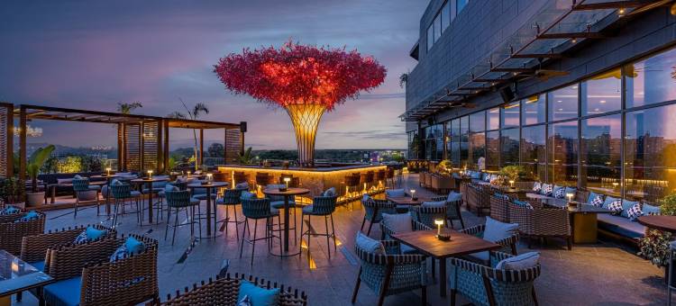 浦那戈雷冈公园威斯汀酒店(The Westin Pune Koregaon Park)图片