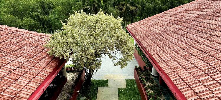 安玛蒂卡德卡尼河度假村(Kadkani River Resort Coorg)图片