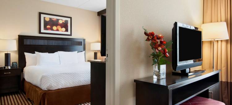 理奇兰杰克逊北希尔顿安泊酒店(Embassy Suites by Hilton Jackson North Ridgeland)图片