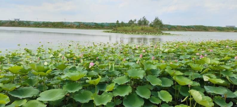 A菏泽万达广场日租月租短租公寓(府南街分店)图片