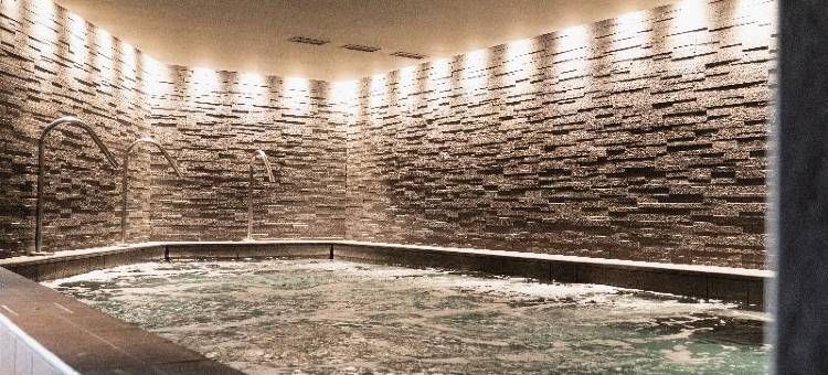 阿尔巴加 - 博米耶酒店(L'Alpaga, a Beaumier Hotel)图片