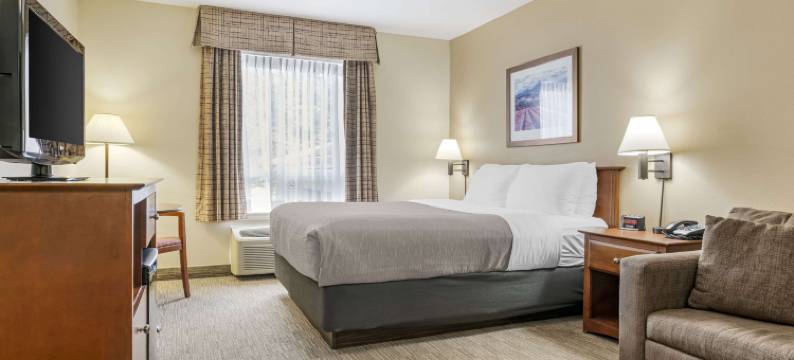 凯艺酒店-机场(Quality Inn Airport)图片