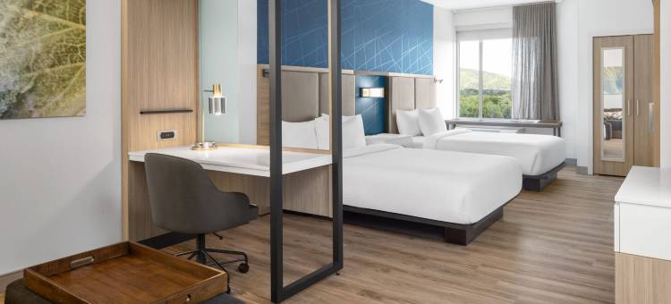 北罗阿诺万豪春丘酒店(SpringHill Suites Roanoke North)图片