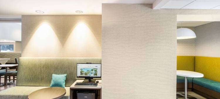 霍顿汉普顿套房酒店(Hampton Inn & Suites by Hilton Houghton)图片