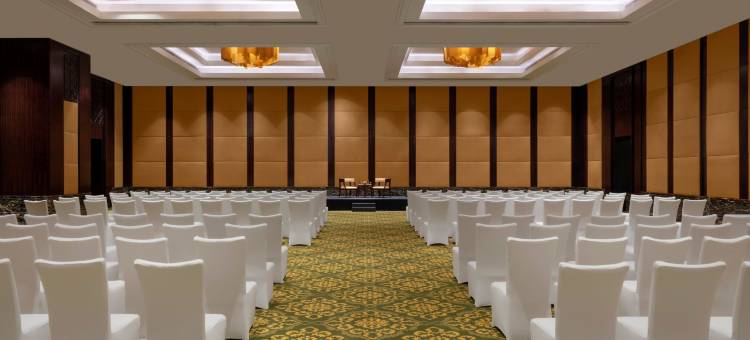 班加罗尔丽思卡尔顿酒店(The Ritz-Carlton, Bangalore)图片